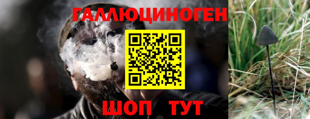 Псилоцибиновые грибы ЛСД Магадан